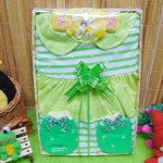 Kado Lahiran Box Paket Kado Bayi Perempuan Cewek Baby Gift Dress Hijau Salur Cantik