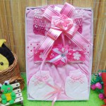 Kado Lahiran Box Paket Kado Bayi Perempuan Cewek Baby Gift Dress Pink Cantik