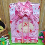 Kado Lahiran Box Paket Kado Bayi Perempuan Cewek Baby Gift Dress Pink Kucing Cantik
