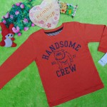 jaket baju hangat sweater anak laki-laki sweatshirt boy toddler 2-3th branded carter’s handsome crew