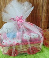 Hampers Baby Gift Parcel Bayi Kado Lahiran Kereta Tile Isian Premium FREE UCAPAN (4)